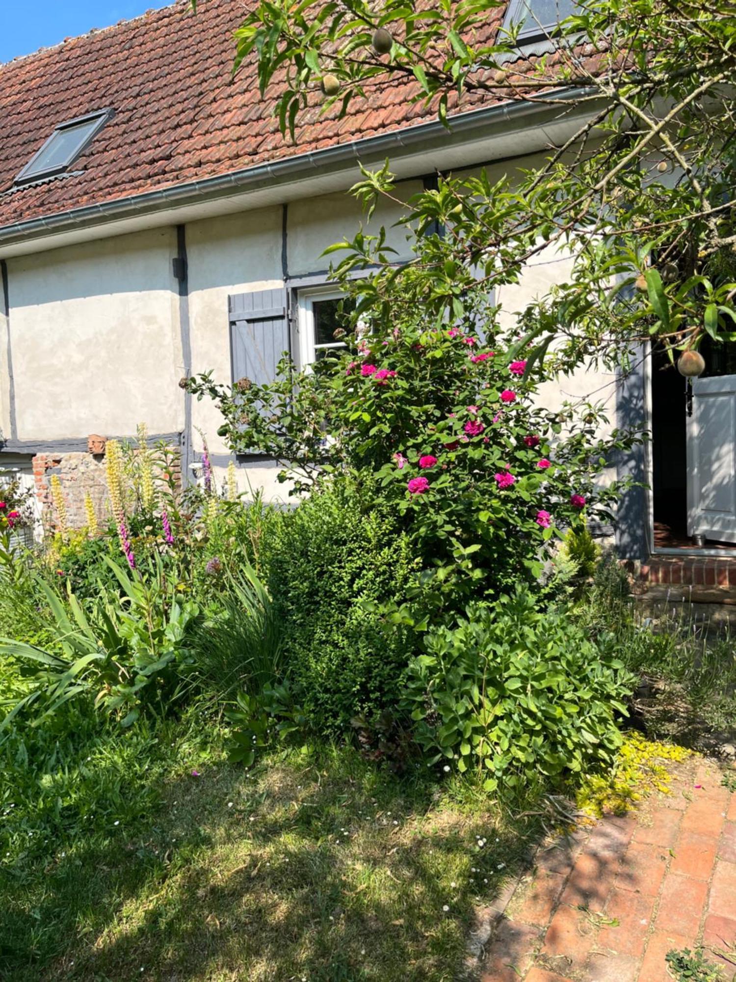 Chambre Cosy Bonnieres エクステリア 写真